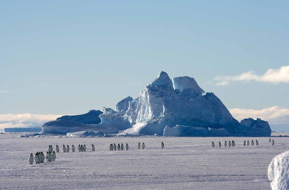 冰漠野餐／White Desert Antarctica／南極