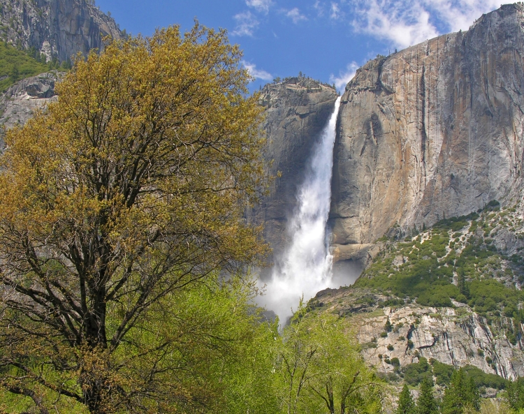 優勝美地瀑布／加利福尼亞州／美國／旅遊／自然景觀