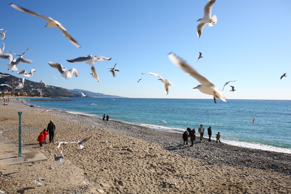 聖托培／法國／旅遊／地中海／馳騁蔚藍海岸