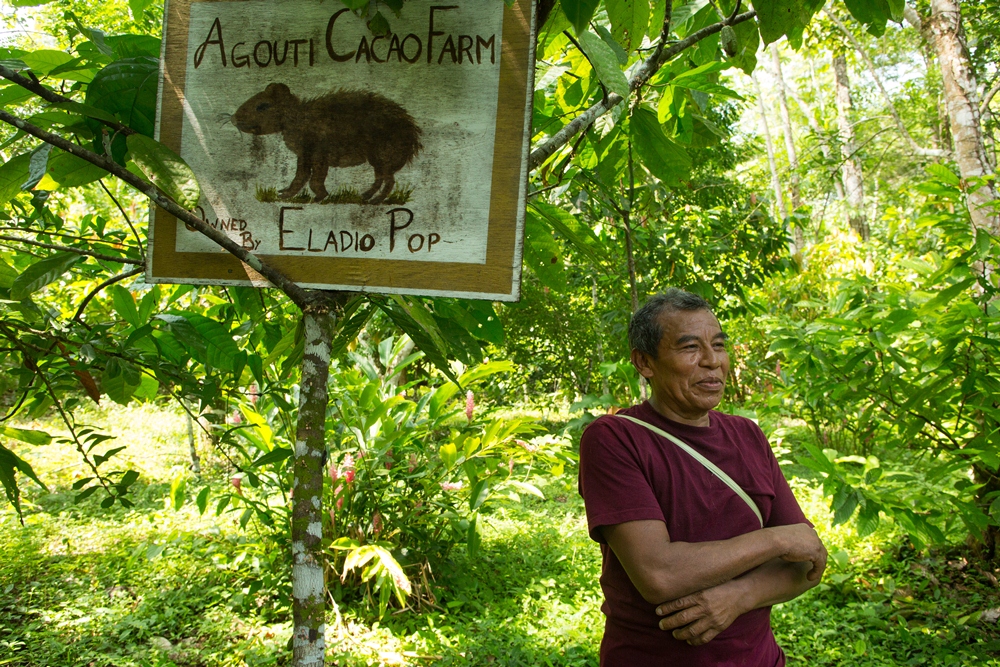 Agouti Cacao Farm／馬雅／貝里斯／旅遊／可可園