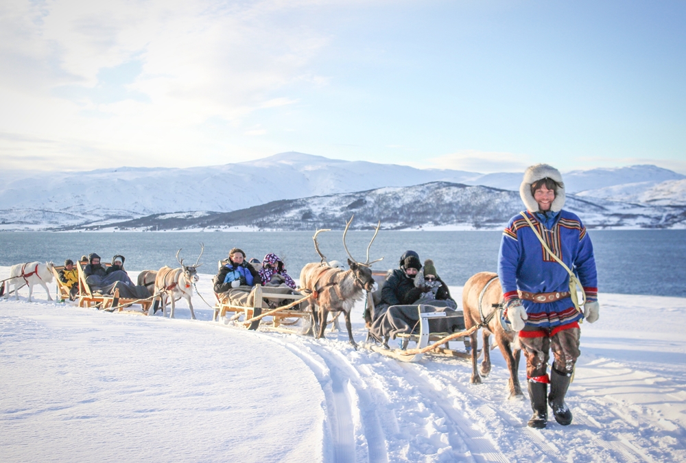 Tromsø Arctic Reindeer／極光／旅遊／特羅姆瑟／挪威
