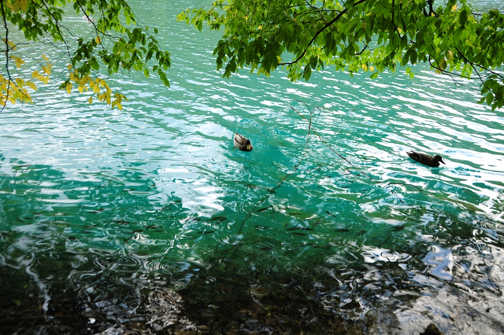 普列提維切湖國家公園／旅遊／克羅埃西亞