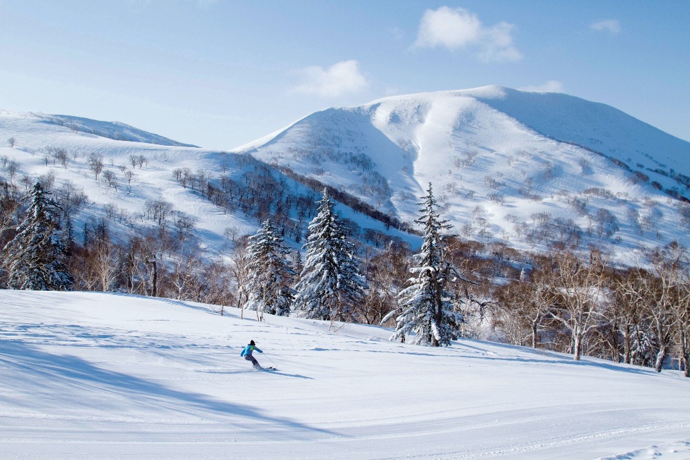 歐多俐國際旅行社／滑雪／旅遊／北海道／日本