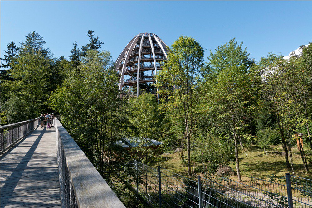 Tree Top Walk in the Bavarian Forest National Park