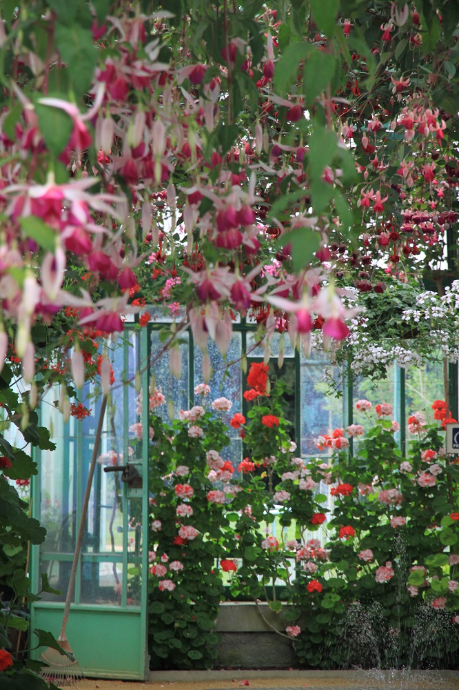 比利時Royal Greenhouses of Laeken／Brugge／比利時