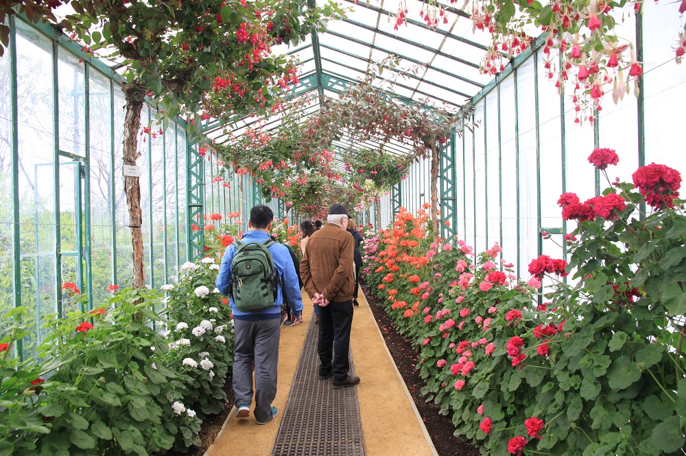 比利時Royal Greenhouses of Laeken／Brugge／比利時