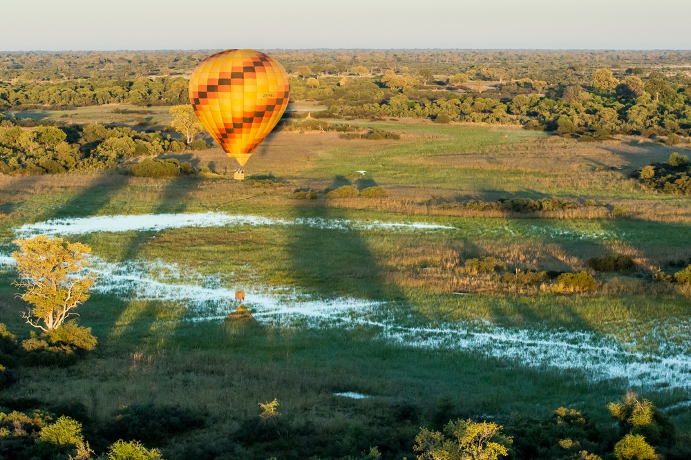 熱氣球空中狩獵，飛越奧卡萬戈絕美大地