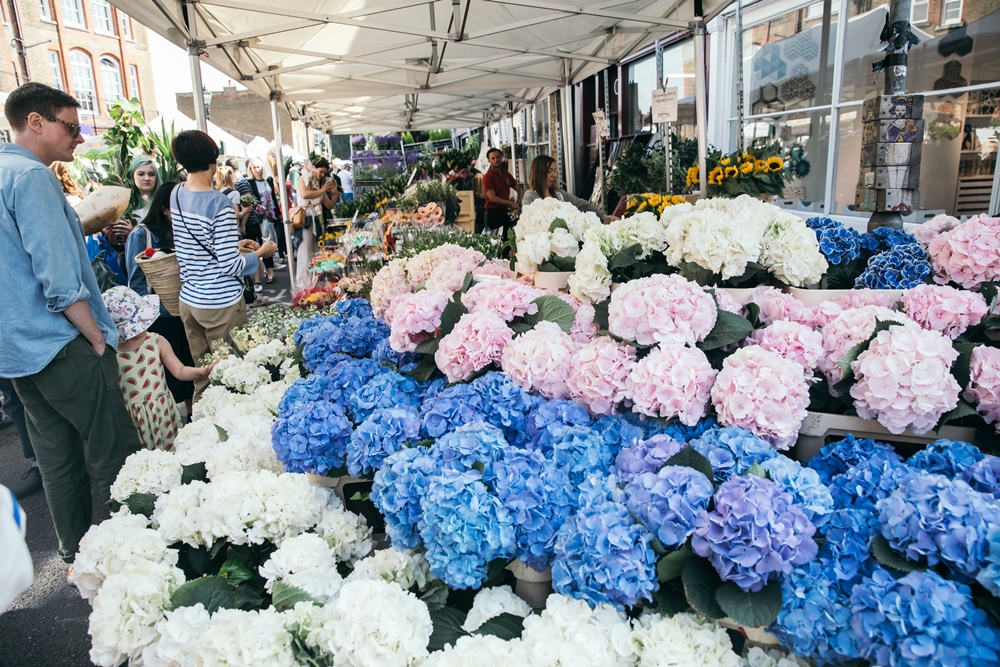 Columbia Road Flower Market & Shop