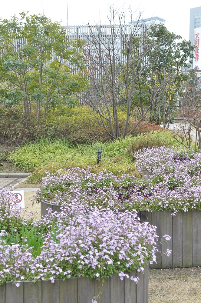 日本新宿伊勢丹 i garden