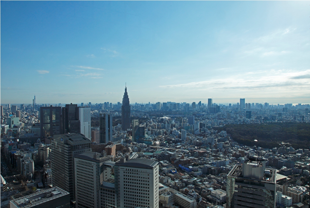 Park Hyatt Tokyo - Tokyo Suite