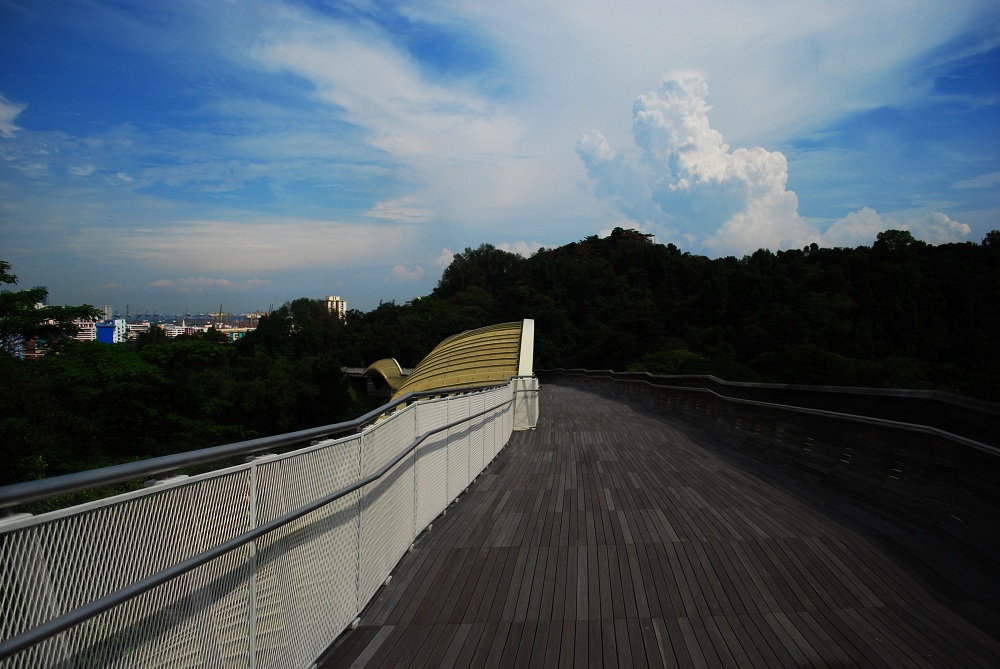 henderson waves bridge