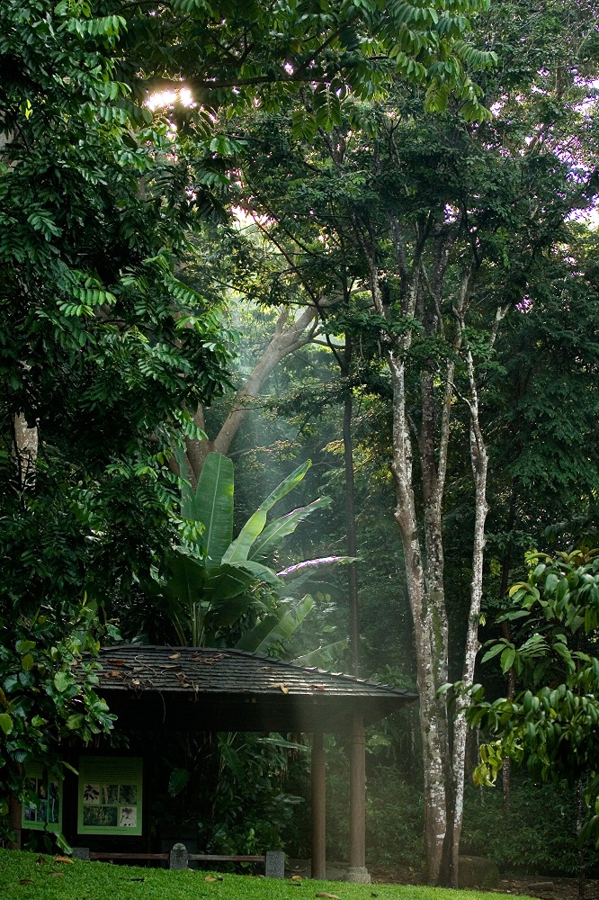 Singapore Botanic Gardens