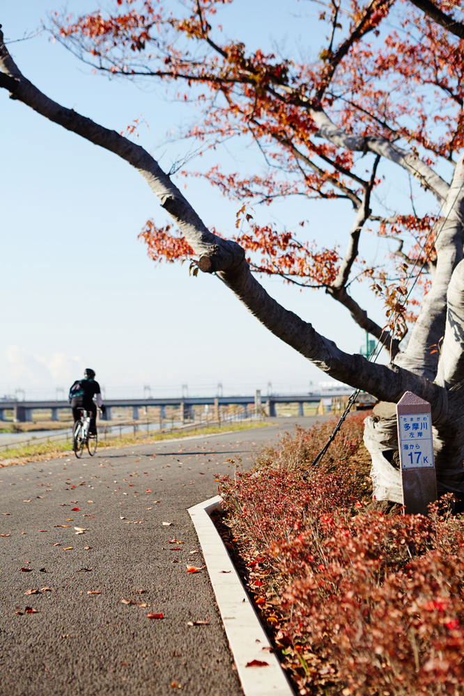 日本／東京／二子玉川／自行車