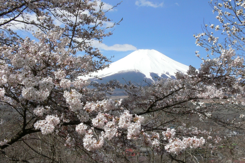 富士山／Fujisan／日本／Japan