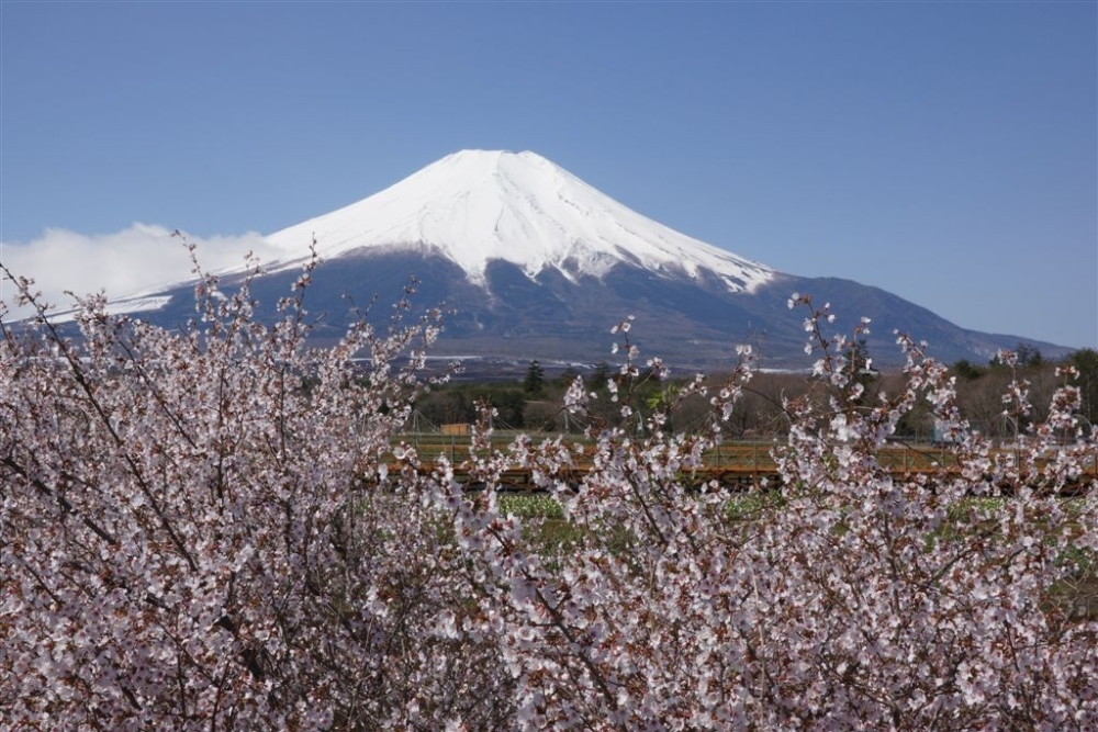 富士山／日本／Japan／Fujisan