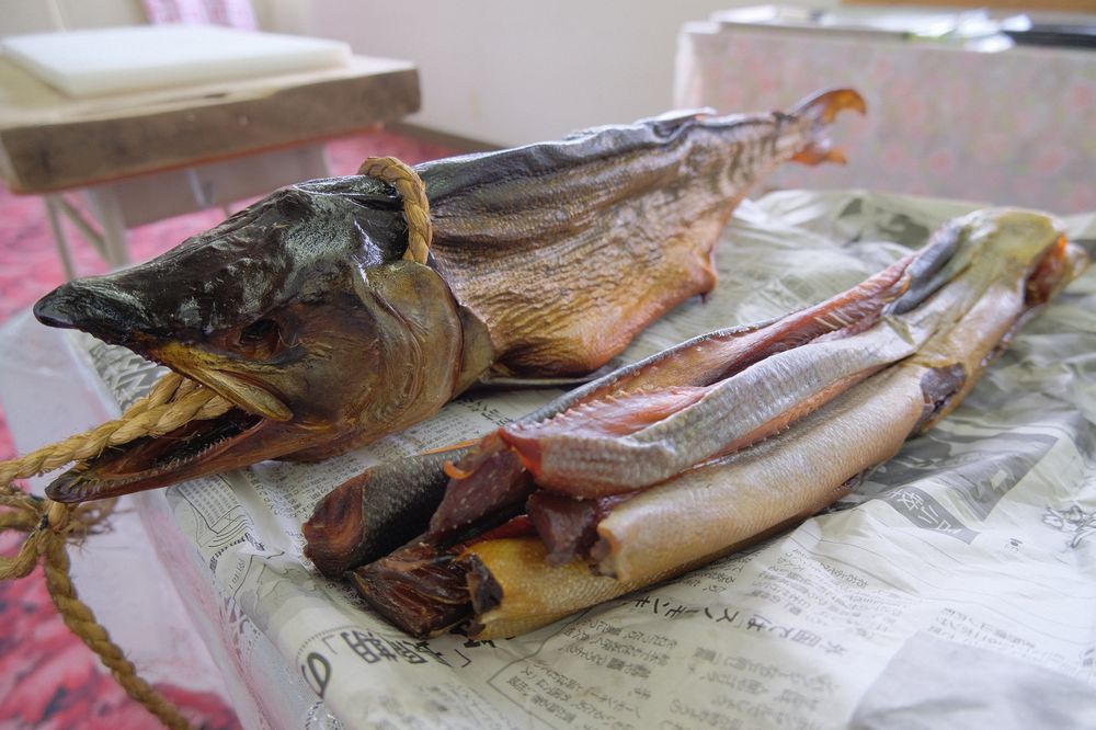 克魯波克魯體驗工坊（KOROPOKKURU）_鮭魚／日本／北海道／愛努文化