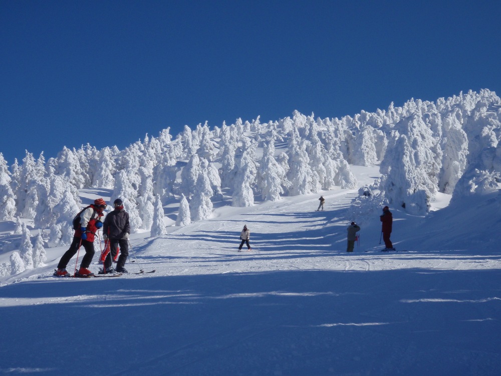 滑雪／主題旅遊／雪景／冒險葉／日本