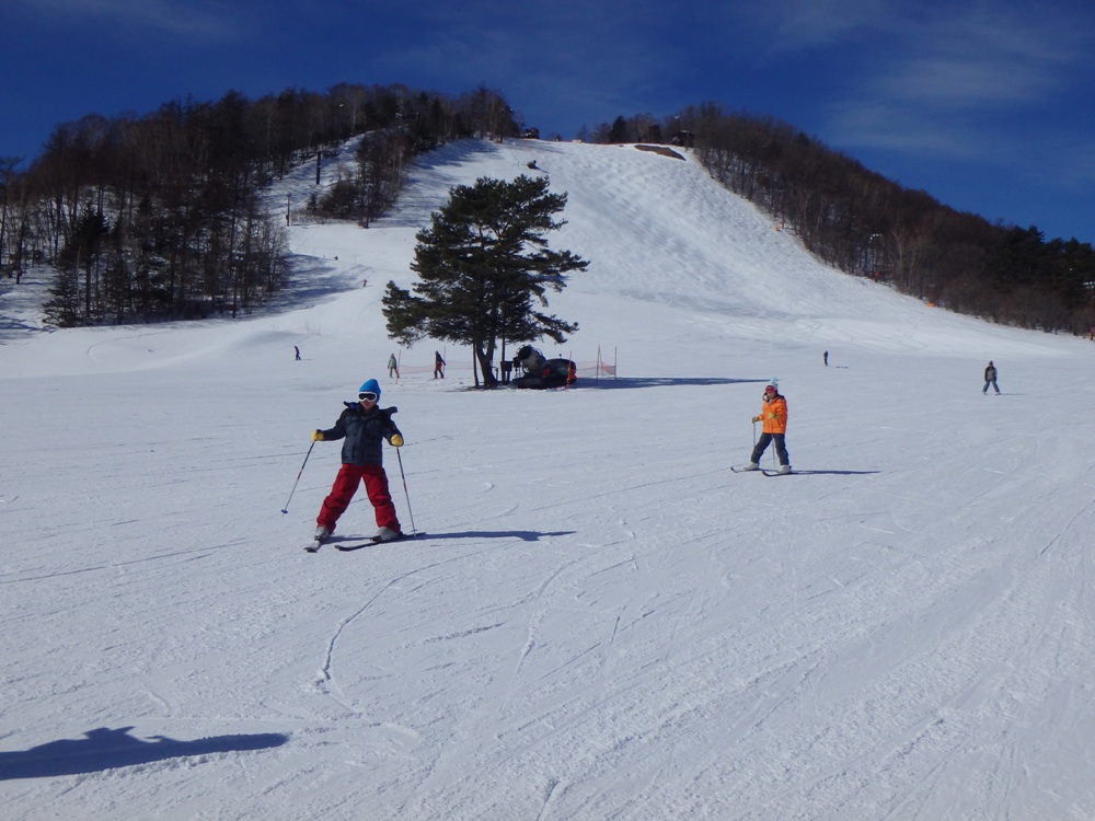 滑雪／主題旅遊／雪景／冒險葉／日本