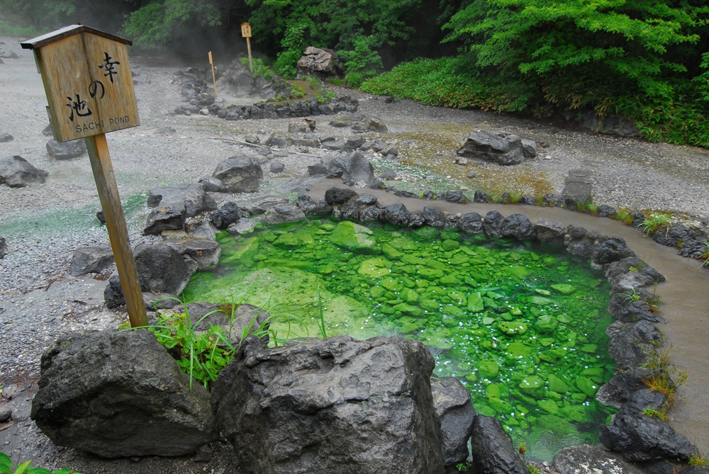 西之河原公園內有的溫泉池「幸の池」