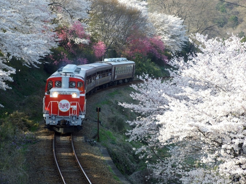 溪谷小火車／渡良瀨／日本