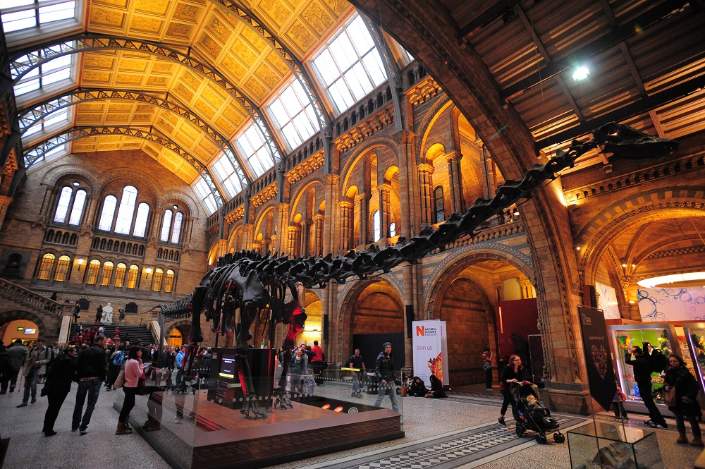 自然歷史博物館／英國／倫敦／肯辛頓區／恐龍標本