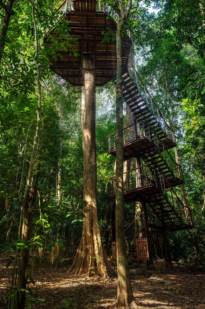 The Datai Langkawi／馬來西亞／熱帶雨林／生態度假村／高腳樹屋