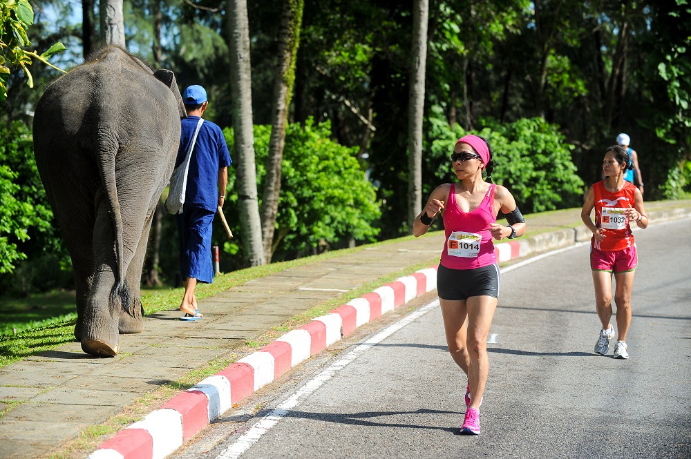 普吉國際馬拉松／泰國／跑旅／熱帶島嶼／Run Paradise／騎大象