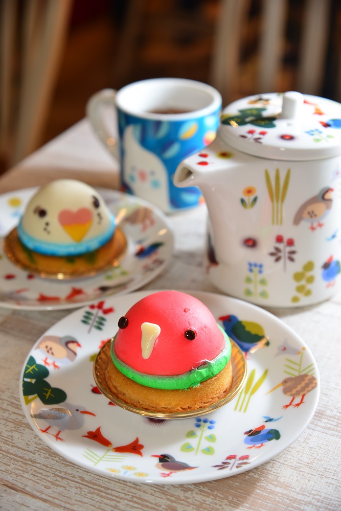 小鳥咖啡／東京／寵物咖啡館／鳥咖啡館／鸚鵡／蛋糕