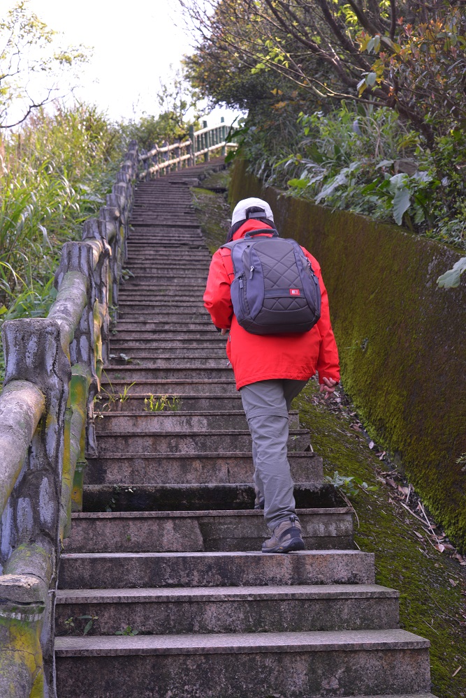 茶壺山健行步道
