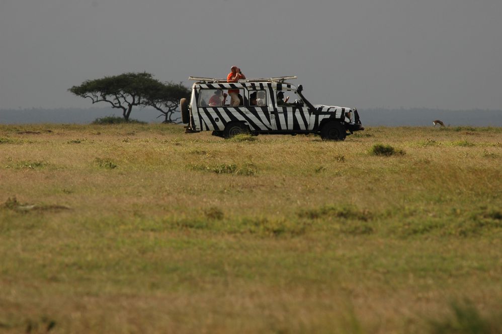 肯亞旅遊所搭乘的斑馬紋遊獵車