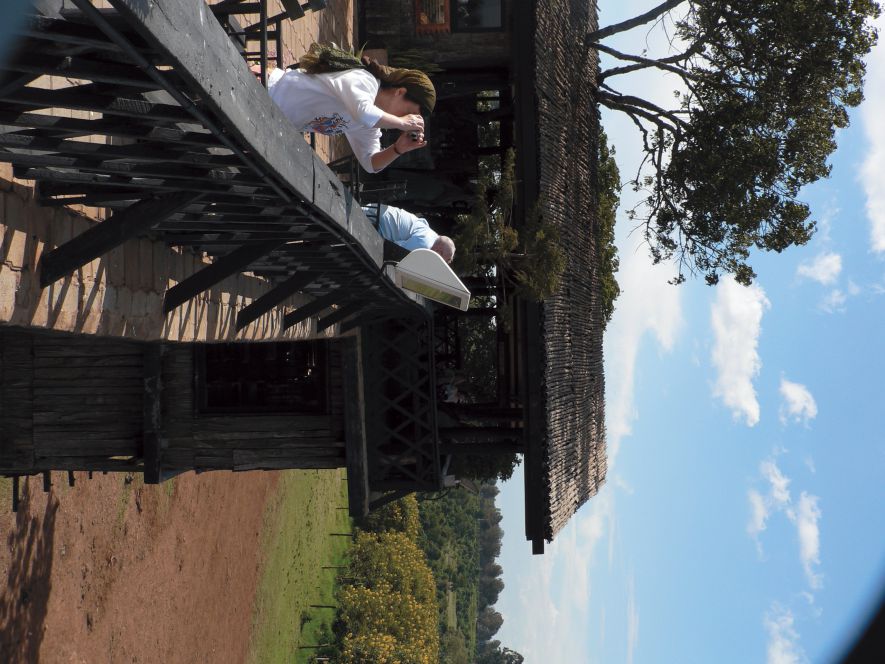 肯亞樹頂旅館遊客至頂樓陽台觀賞動物