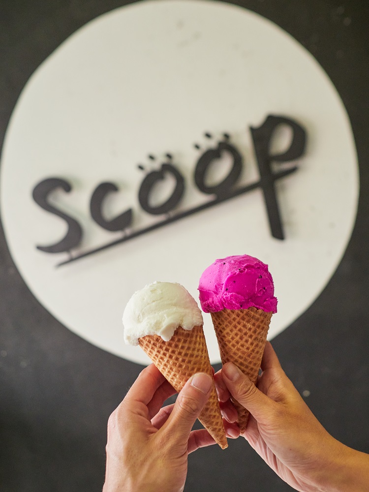 冰淇淋／Scoop冰淇淋店／旅遊／集集／南投／台灣