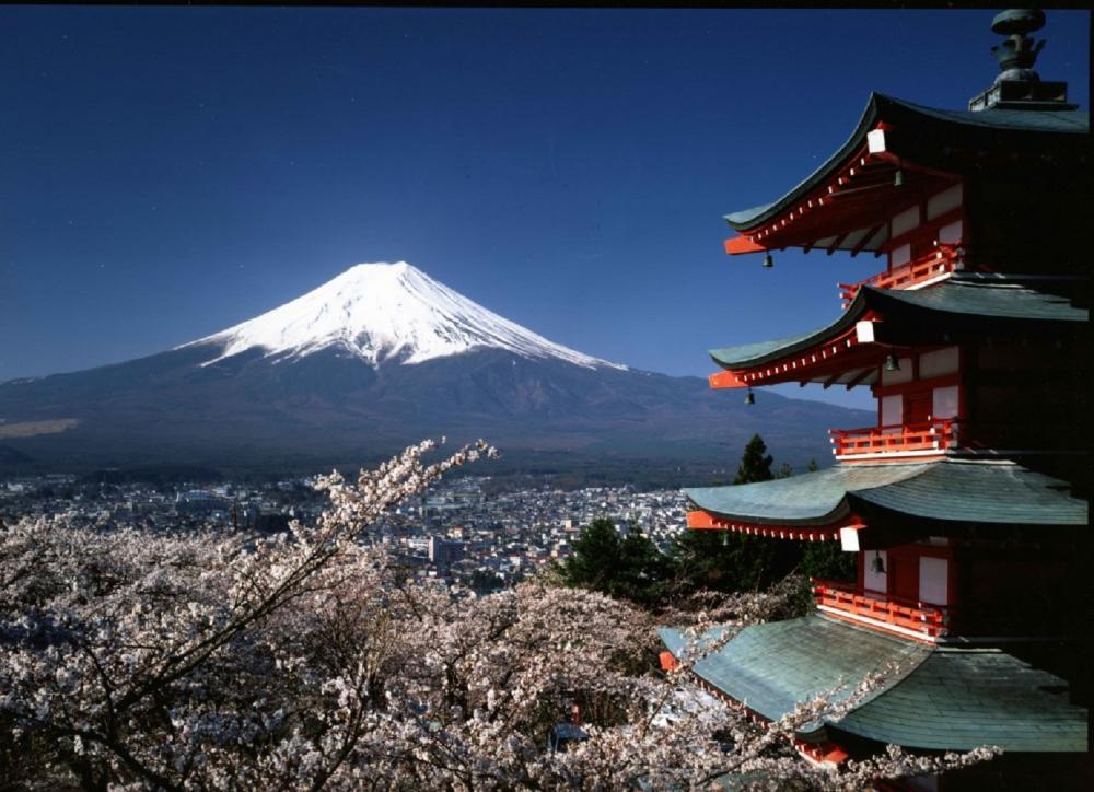 櫻花／富士山／日本