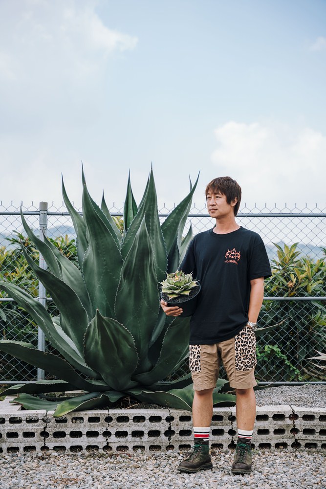 人物專訪／CJ Plants／植物／創意生活／台中／台灣