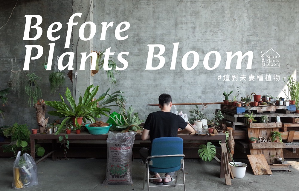 空間／這對夫妻種植物／植物／創意生活／台灣