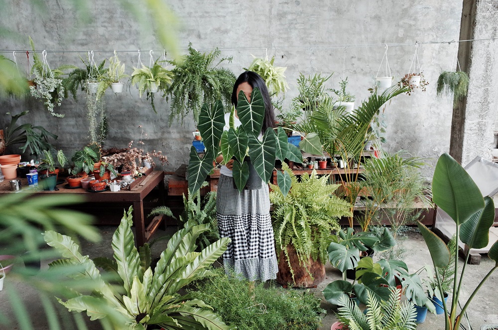 空間／這對夫妻種植物／植物／創意生活／台灣