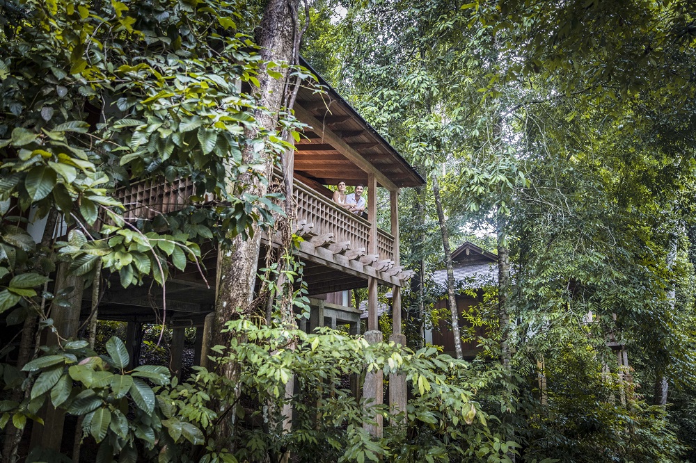 外觀／The Datai Langkawi／馬來西亞／熱帶雨林／生態度假村／高腳樹屋