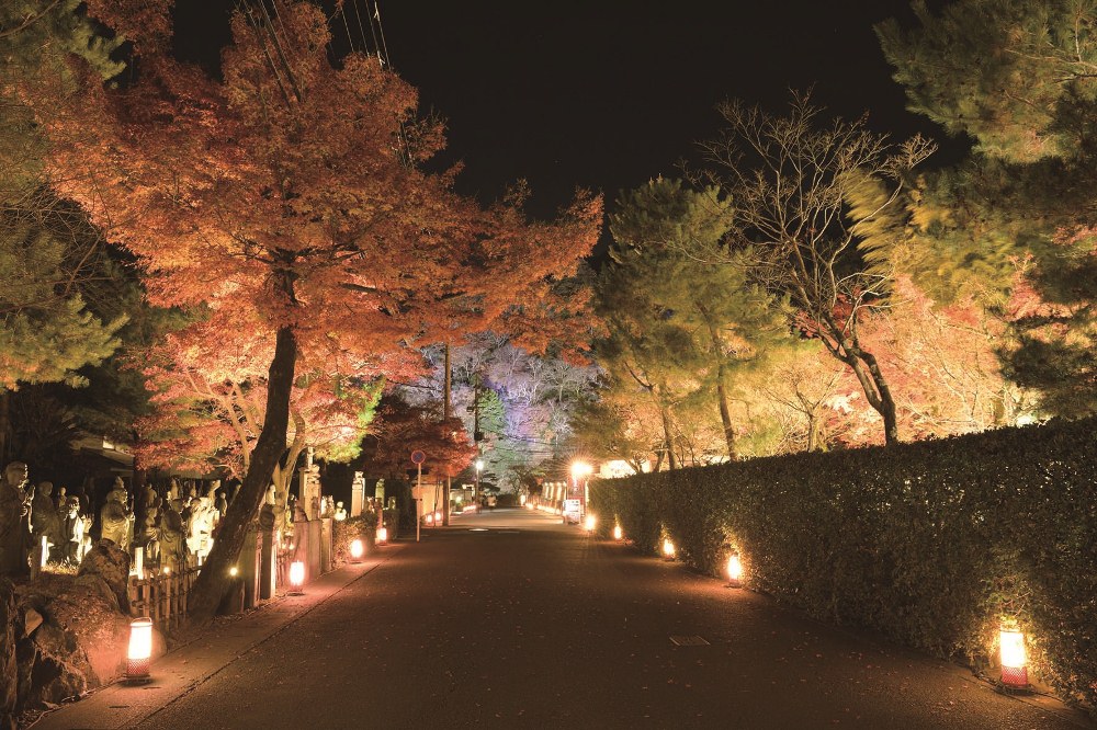 京都•花燈路／祭典／京都／日本