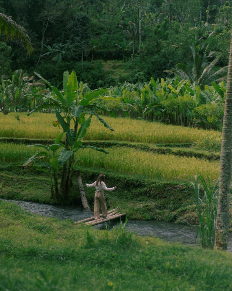 周遭環境／Banyan Tree Escape／峇里島／印尼