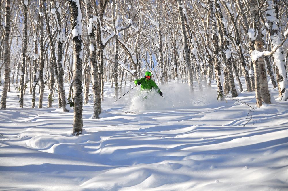 滑雪／北海道／日本