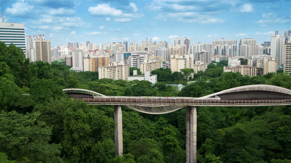亨德申波浪橋／景點／新加坡