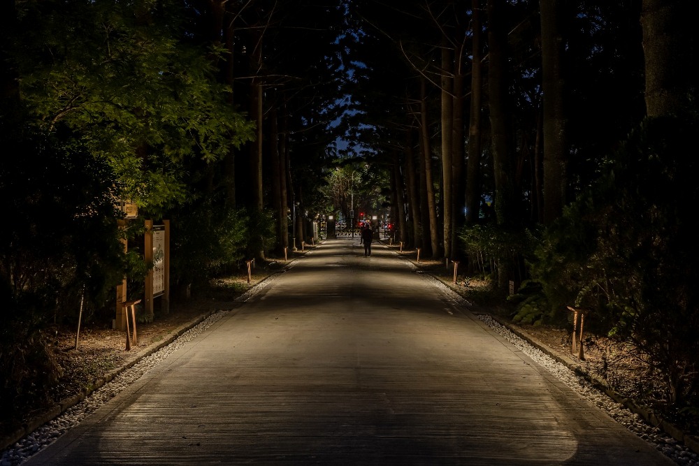 台北「植光步道」長達435公尺，透過「減光設計」打造最美夜景，「台北植物園植光計畫」5/31啟用
