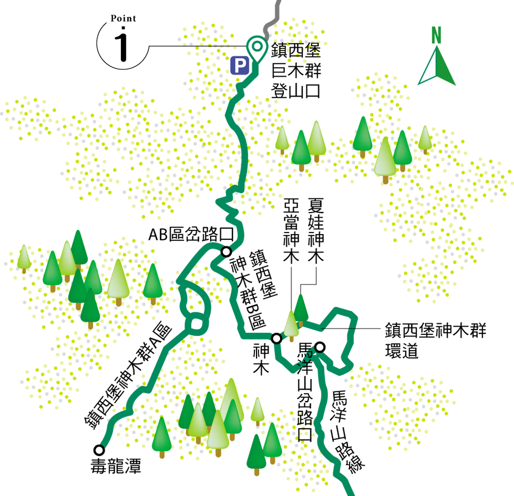 路線圖／鎮西堡巨木群步道／新竹／台灣