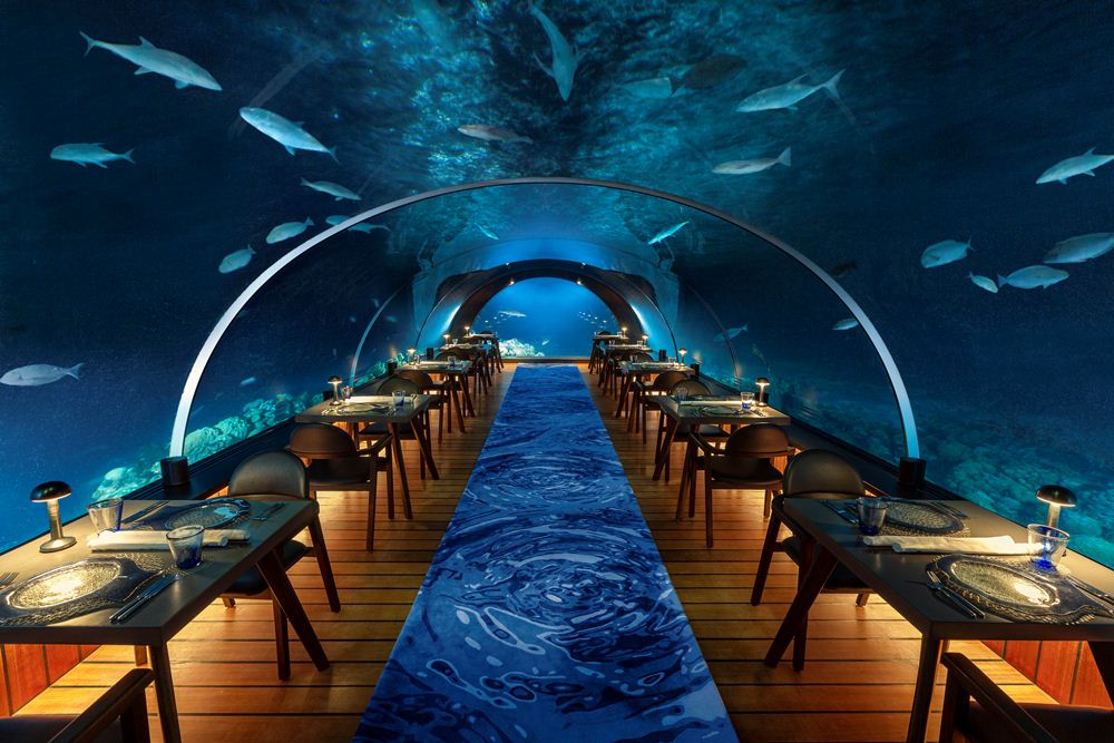 海底餐廳／內部空間／芙拉瓦麗渡假村／飯店／馬爾地夫
