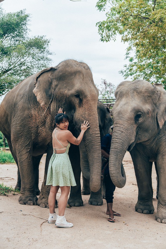 與大象互動／Samui Elephant Kingdom Sanctuary／保護區／蘇梅島／泰國