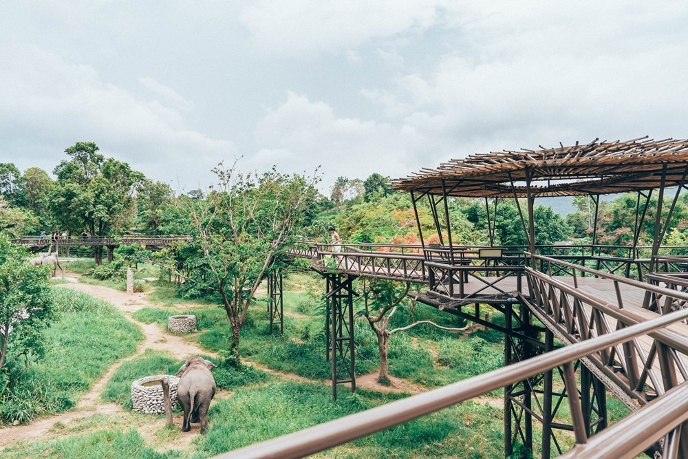 天空步道／Samui Elephant Kingdom Sanctuary／保護區／蘇梅島／泰國