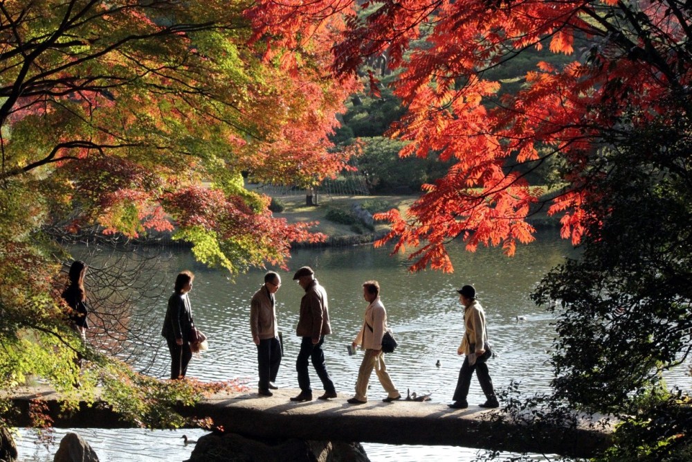 巢鴨周邊輕裝悠遊散策！入秋賞紅葉、泡溫泉、嚐美食，感受東京下町在地氛圍