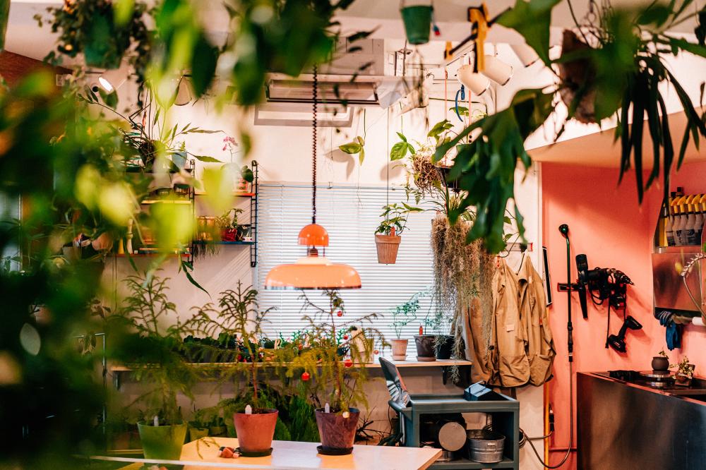 鄰近六張犁捷運站的夢幻綠洲「hallo hütte 棚屋」！玩轉創意魔法，讓綠植走進生活