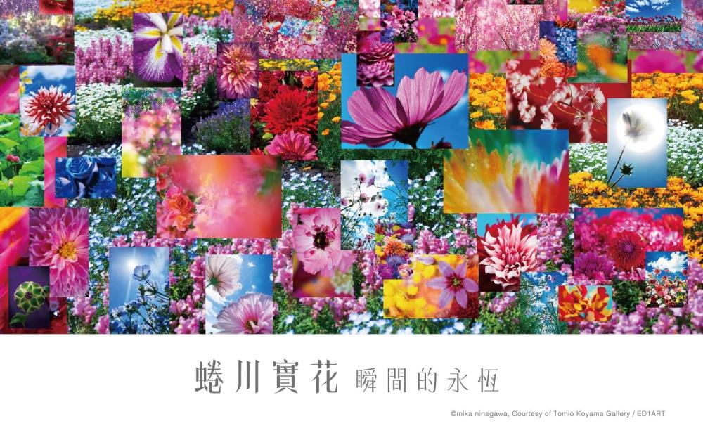 新光三越/鑽石塔/蜷川實花/瞬間的永恆/展覽/光影展/花朵展