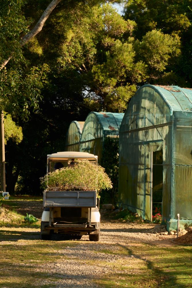 農場情境圖／Agri／餐廳／高爾夫球場俱樂部／彰化／台灣